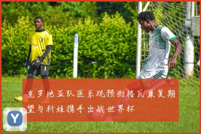 克罗地亚队医乐观预测格瓦康复期望与科娃携手出战世界杯